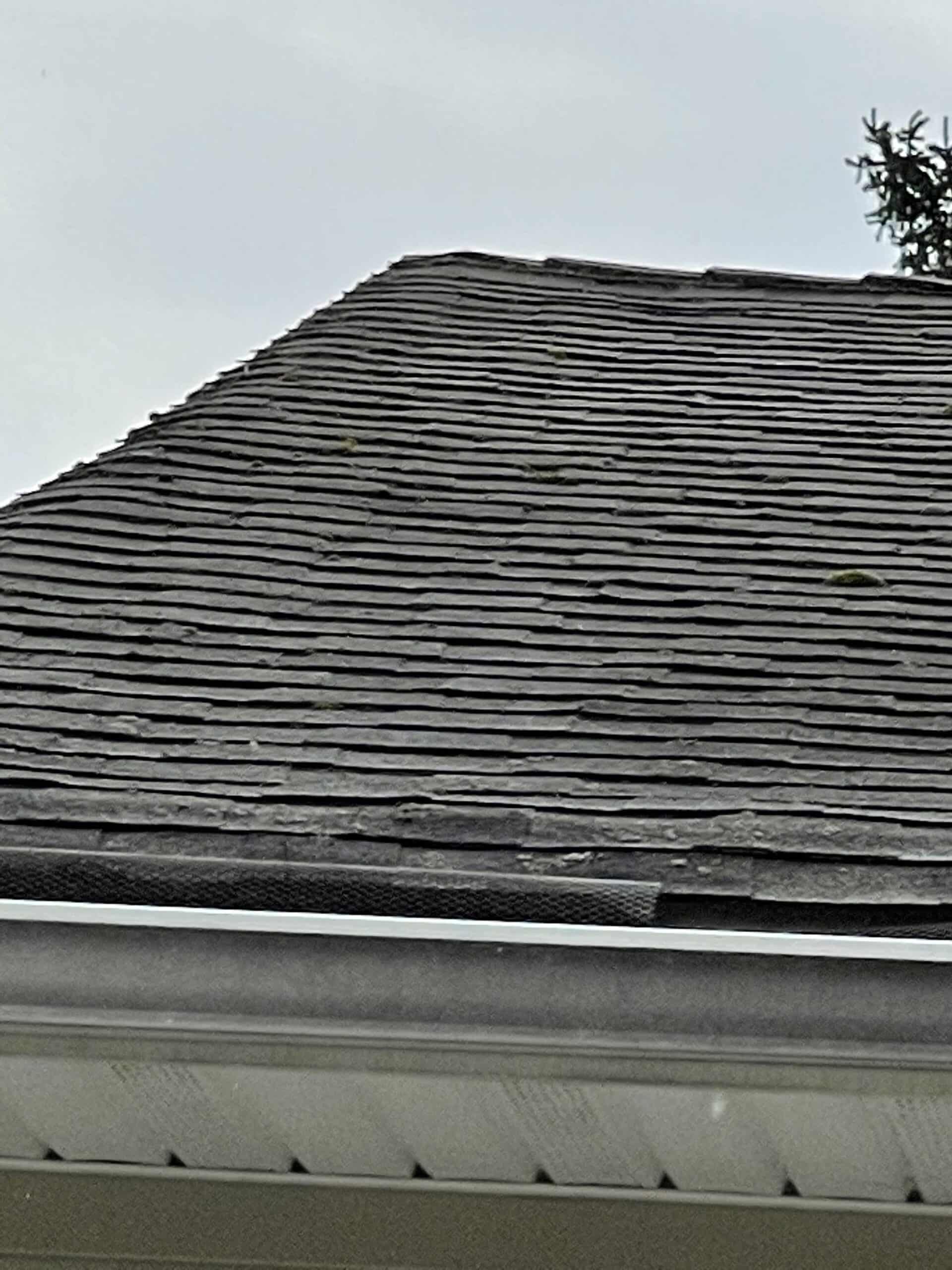 Old Existing Roof Shingles with Algae Algae Covered over Roofing Shingles